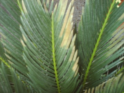 S3000036.JPG