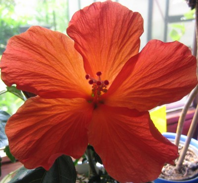 20100701_0001_2.JPG