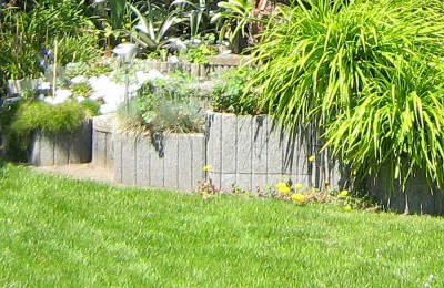 IMG_1928a.jpg