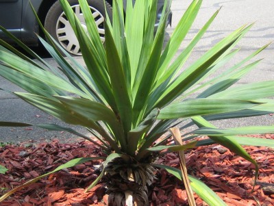 20100701_0001_7.JPG