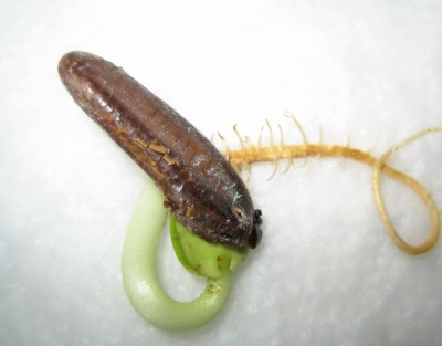 20100701_0001_12.JPG