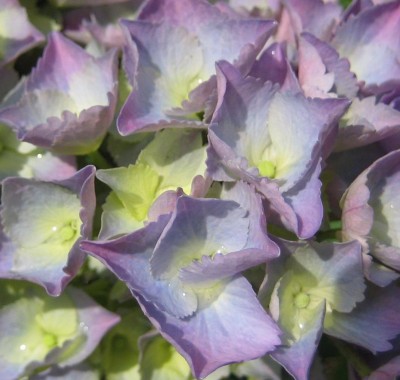 20100701_0001_3.JPG