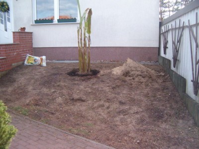 HPIM6522.JPG