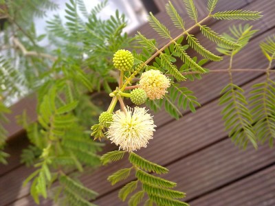 030720102074.jpg