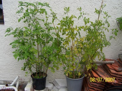 100_2587.jpg