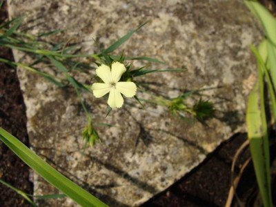 Meine Bilder 1211a.jpg