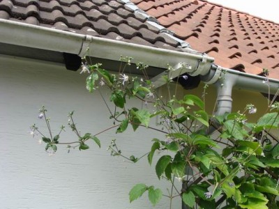 Meine Bilder 1209a.jpg