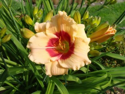 Meine Bilder 1208a.jpg