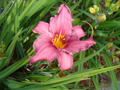 Meine Bilder 1207a.jpg