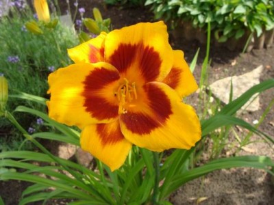 Meine Bilder 1206a.jpg