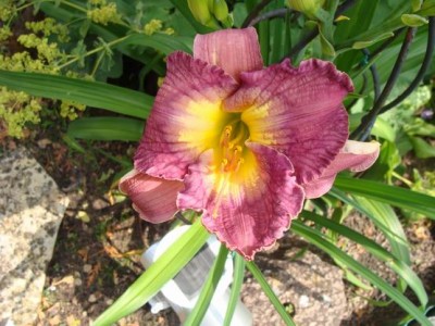 Meine Bilder 1205a.jpg