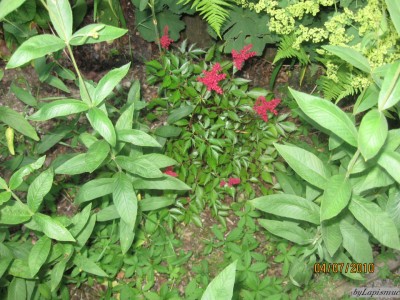 IMG_3728.JPG
