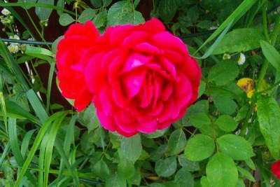 100D9714.JPG