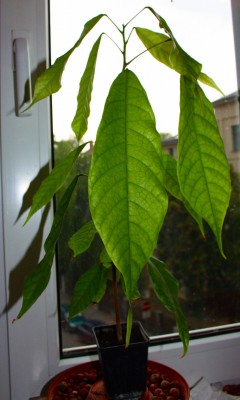 IMG_0527.JPG