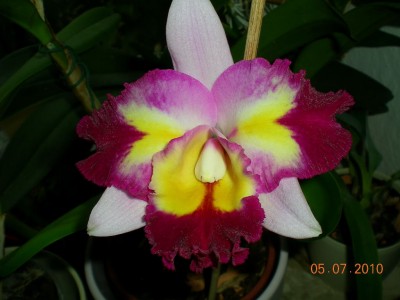 DSCN77110001.JPG