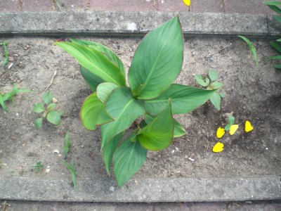 06072010-2.JPG