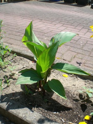 06072010-1.JPG