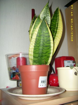 DSCI0017.JPG