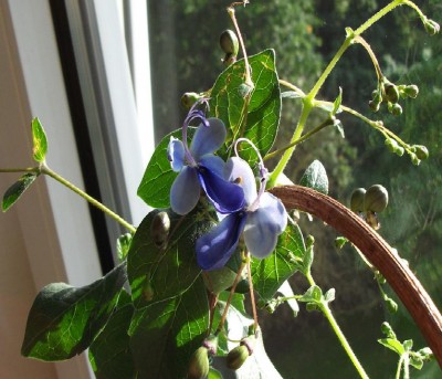 DSCF1058.jpg