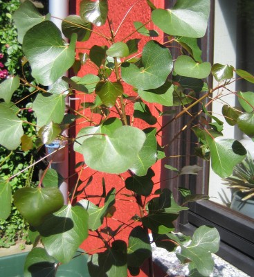 20100707_0001_2.JPG