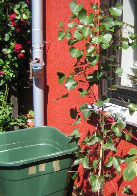 20100707_0001_3.JPG