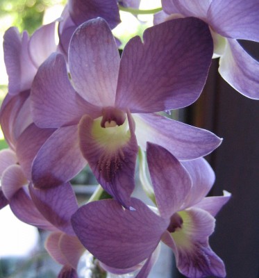 20100707_0001_11.JPG