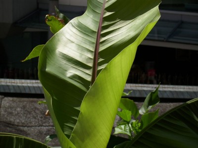 DSCI1440.JPG