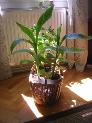 DSCN4097.JPG