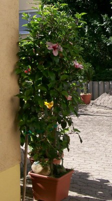 104_0068.JPG