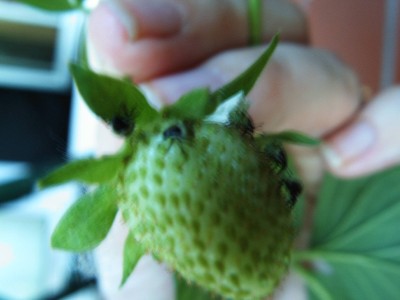 PICT0030.JPG