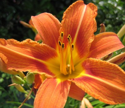 20100701_0001_4.JPG