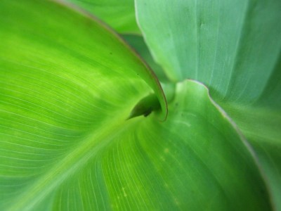 DSCF7621.JPG