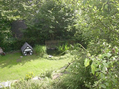 Laufenten 014.JPG