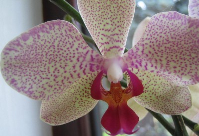 20100701_0001_11.JPG