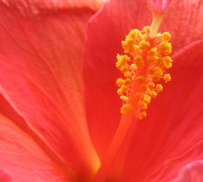 20100706_0001_14.JPG