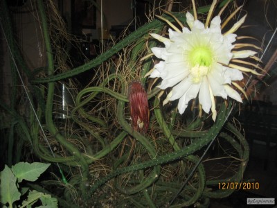 IMG_3840.JPG