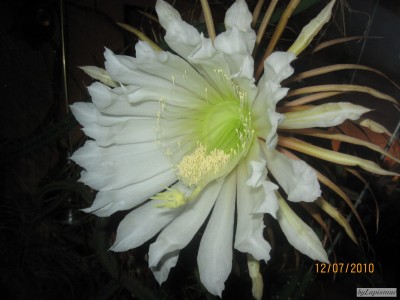 IMG_3836.JPG