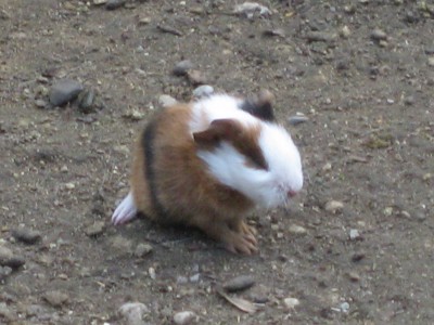 IMG_8187.JPG
