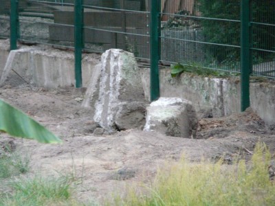 zaun 006.JPG