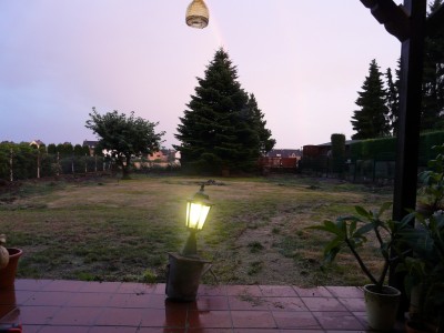 Garten 005.JPG