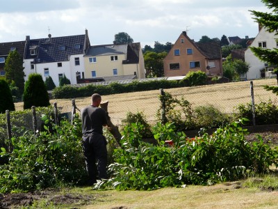 garten 001.JPG
