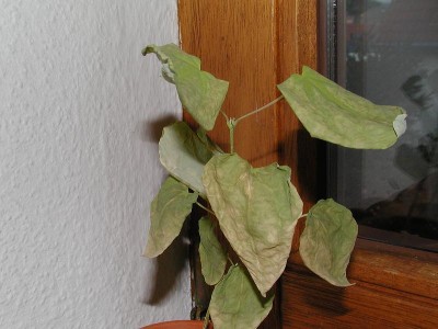 Bild2.JPG