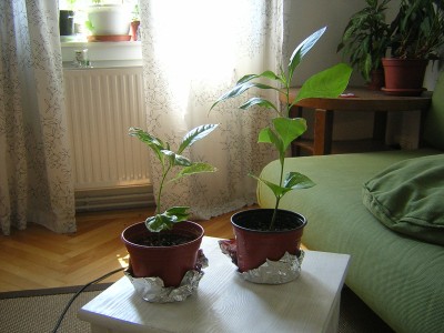 DSCN4107.JPG