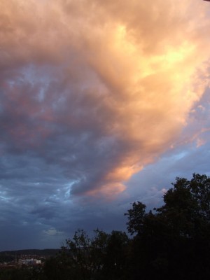 DSCF7665.JPG