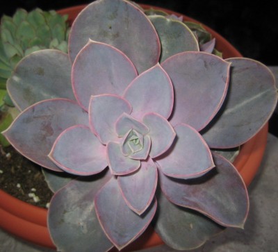 20100715_0001_4.JPG