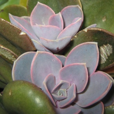 20100715_0001_6.JPG