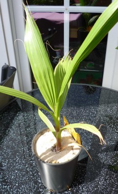 P1000372_neu.JPG