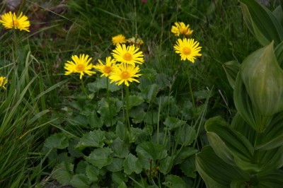 IMG_6184_1.jpg