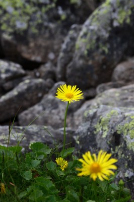 IMG_6176_1.jpg
