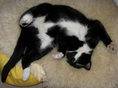 völlig entspannt.JPG